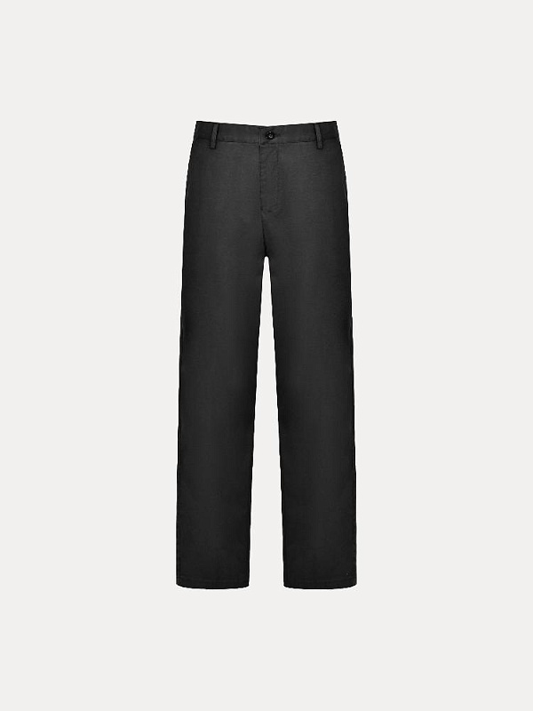 Брюки мужские (BR9079-1)